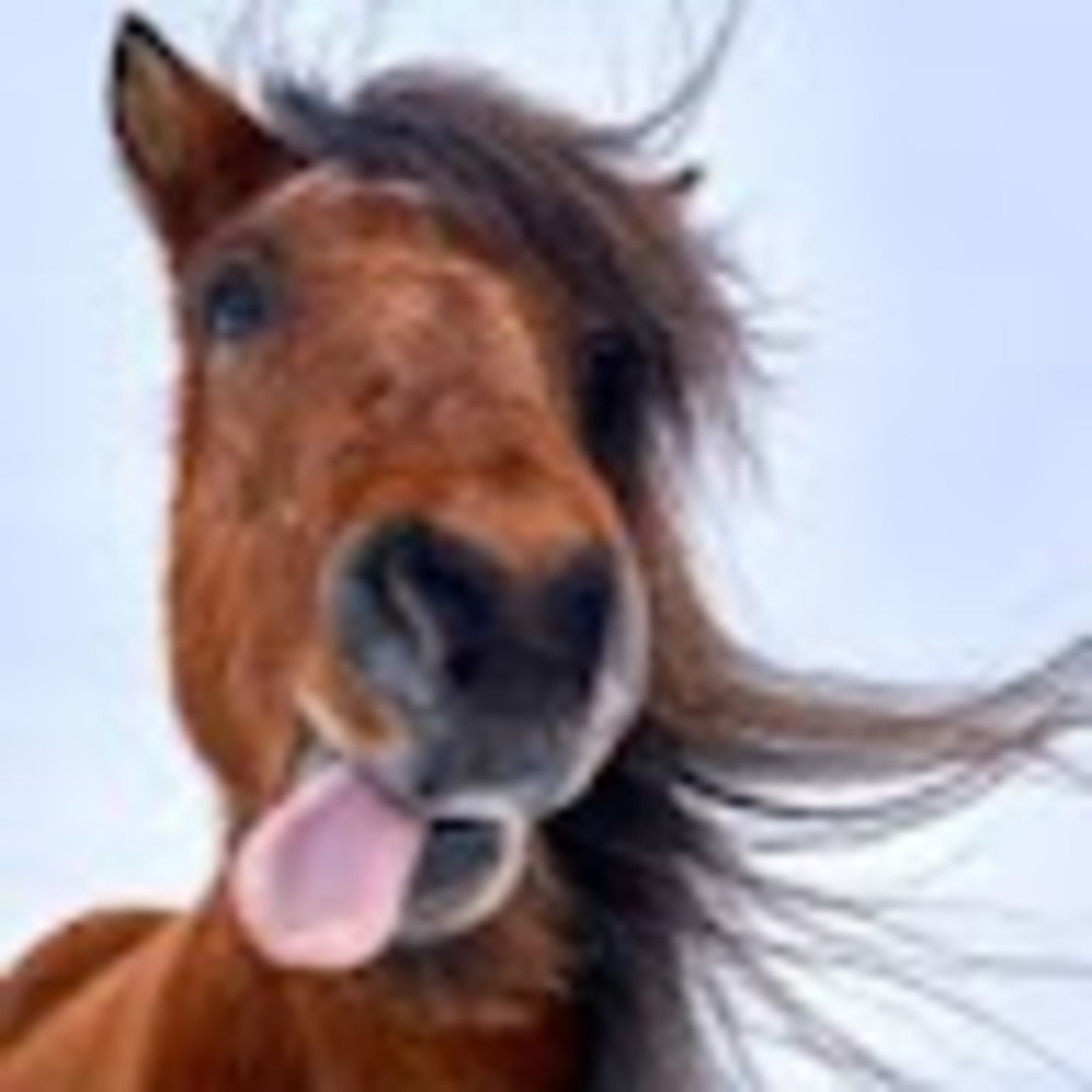 Meet your Posher, Emma